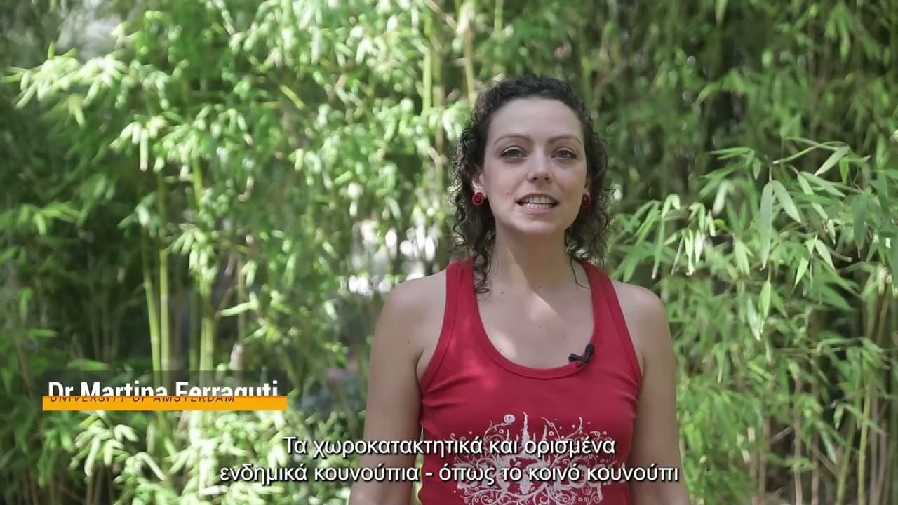 Εισαγωγή στη ζωή ενός Χωροκατακτητικού Κουνουπιού