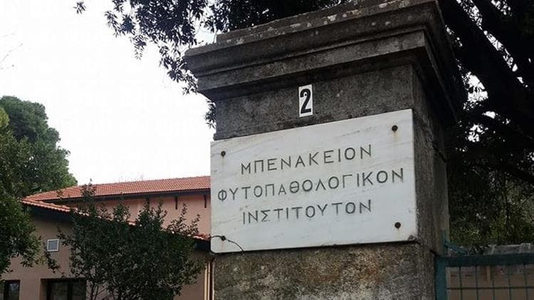 Ειδικό Πρόγραμμα Εντομολογικής Επιτήρησης Κουνουπιών στην Αττική