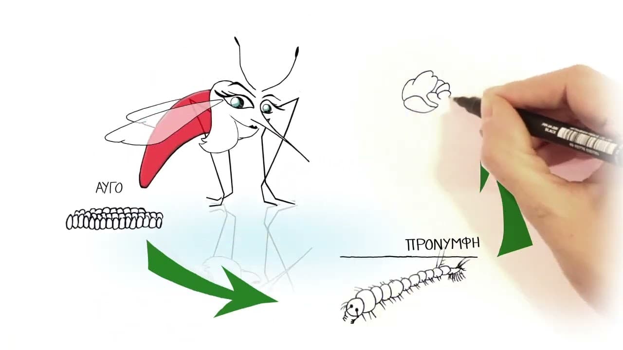 Γνωρίζω και προστατεύομαι